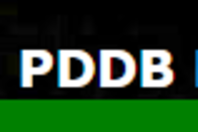 PDDB