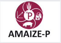 amaize-p
