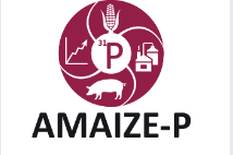 amaize-p