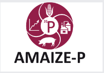 amaize-p